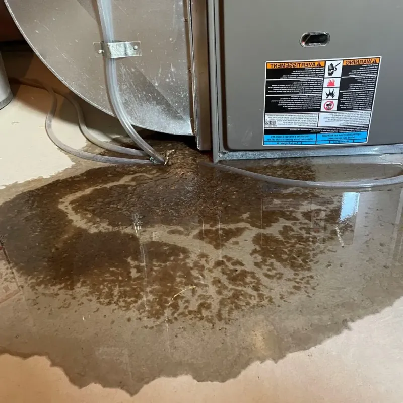 Pipe Burst and Leak Restoration in Marriott-Slaterville, UT