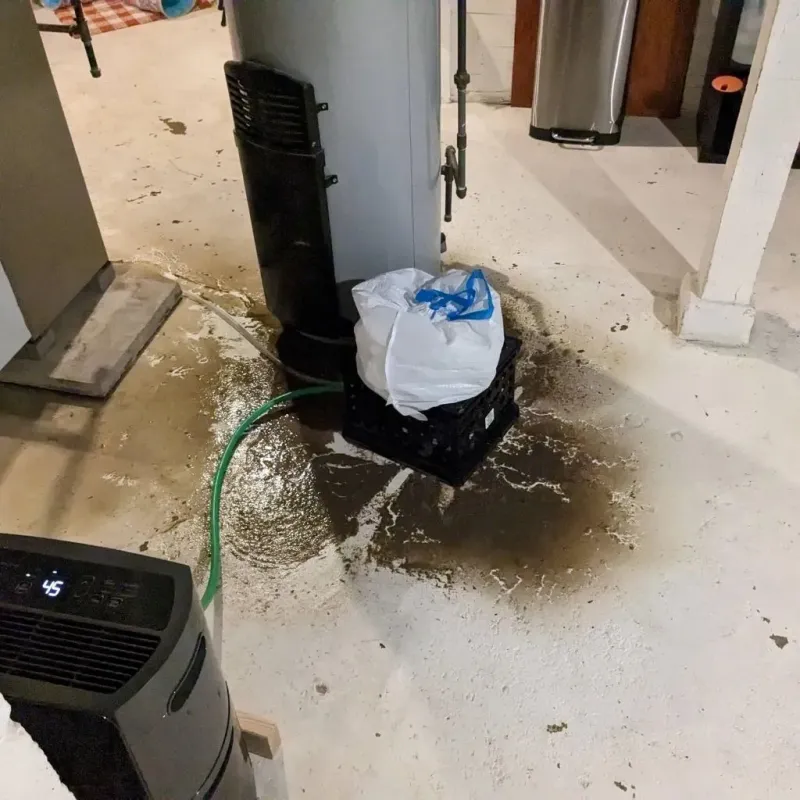 Sewage Backup Cleanup Service in Marriott-Slaterville, UT